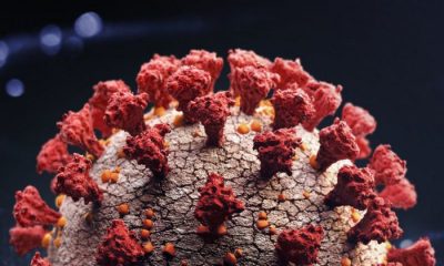 Bilim İnsanları, İngiltere’deki Koronavirüs Varyantının Yeniden Mutasyona Uğradığını Açıkladı