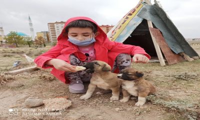 Kendisi Küçük Yüreği Büyük 9 Yaşındaki Zümra’nın Hayvan Sevgisi