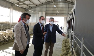 Rektör Uslu, Ayhan Şahenk Tarımsal Araştırmalar Uygulama ve Araştırma Merkezi Ziyaret Etti