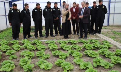 Öğrenciler modern tarımı uygulamalı öğreniyor
