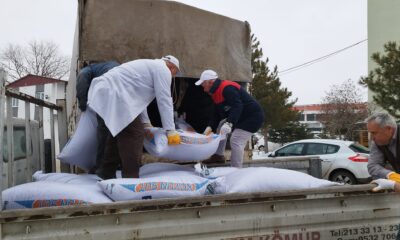 Deprem bölgesine yem yardımı