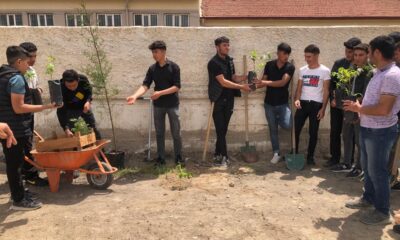 Yeşilgölcük’te Ağaçlandırma Seferberliği