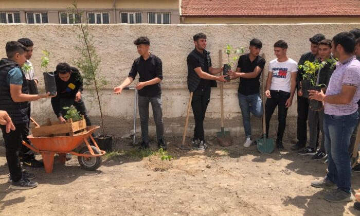 Yeşilgölcük’te Ağaçlandırma Seferberliği