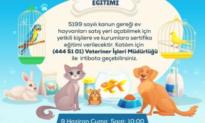 Niğde Belediyesi“Petshop Sertifika Eğitimi” Düzenleyecek
