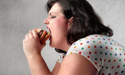 Nüfusun yüzde 20,2’si obez