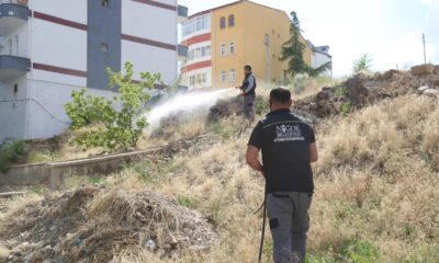 Niğde Belediyesi Sivrisinek ve Haşerelerle Mücadeleyi Sürdürüyor
