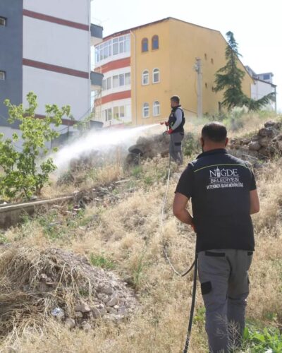 Niğde Belediyesi Sivrisinek ve Haşerelerle Mücadeleyi Sürdürüyor