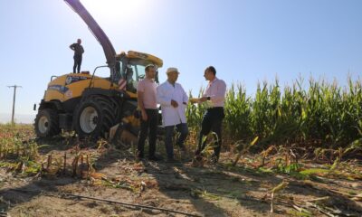 Üniversite’de hasat zamanı