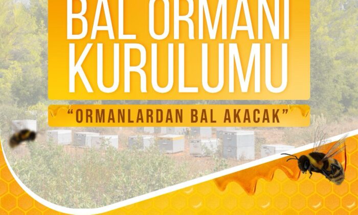 Sevgili Basın Mensupları