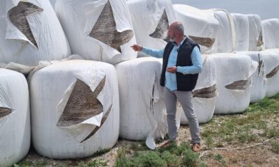 NİĞDE DAMIZLIK BİRLİĞİ’NİN SİLAJ BALYALARI TAHRİP EDİLDİ