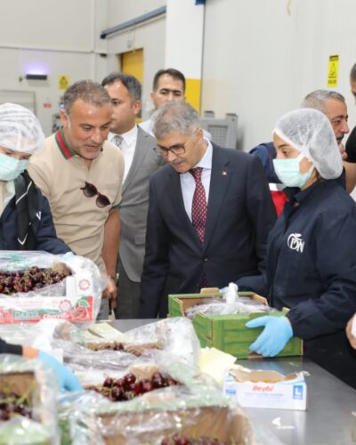 NİĞDE KİRAZDA DA SÖZ SAHİBİ