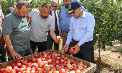 VALİ ÇELİK VE KAYMAKAM YAVUZ’DAN AKPOLAT TARIM’A ZİYARET