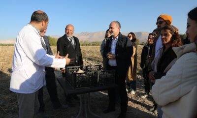 NİĞDE ÖMER HALİSDEMİR ÜNİVERSİTESİ’NDEN ÇAĞRI: “ŞİMDİ PATATES YEME ZAMANI”