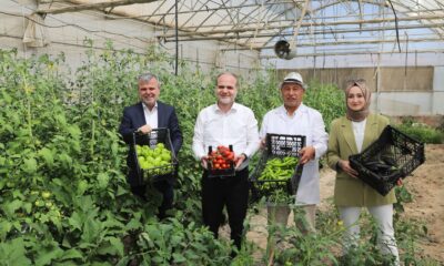 NÖHÜ, TARIMDA ÜRETİM VE EĞİTİM FAALİYETLERİNE ARALIKSIZ DEVAM EDİYOR