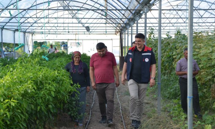 NİĞDE’DE KADIN ÇİFTÇİLER TARIMSAL ÇEŞİTLİLİĞE GÜÇ KATIYOR