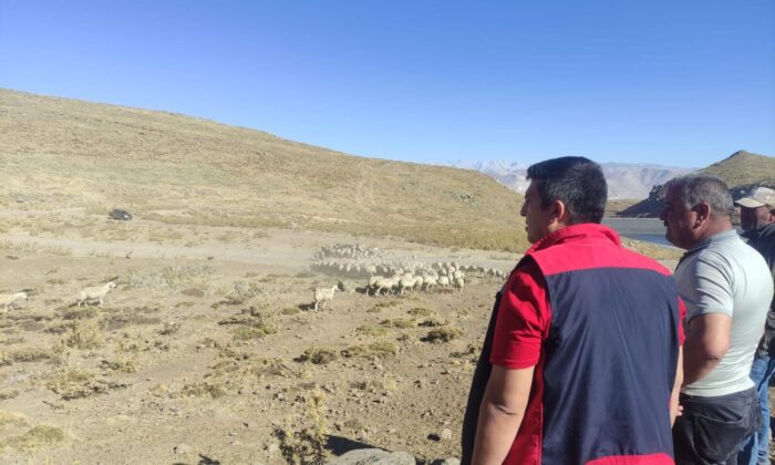 NİĞDE’DE KÜÇÜKBAŞ HAYVANCILIK İŞLETMELERİNE ZİYARET