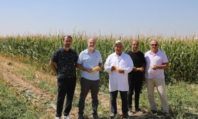 ÜRETEN ÜNİVERSİTE MODELİYLE NÖHÜ’DE HASAT ZAMANI