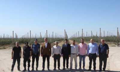 VALİ ÇELİK, ALTUNHİSAR’DA ELMA BAHÇESİNİ ZİYARET ETTİ