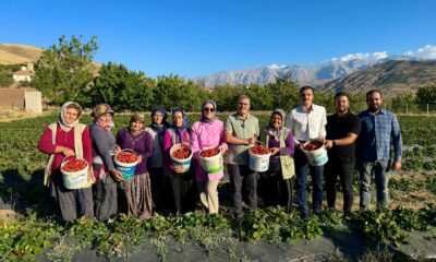 VALİ ÇELİK, ULUKIŞLA BAYAĞIL KÖYÜ’NDE ÇİLEK HASADINA KATILDI