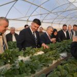 GÜMÜŞLER’DE TOPRAKSIZ TARIM ÇİLEK SERASI PROJESİ İÇİN TEMEL ATILDI