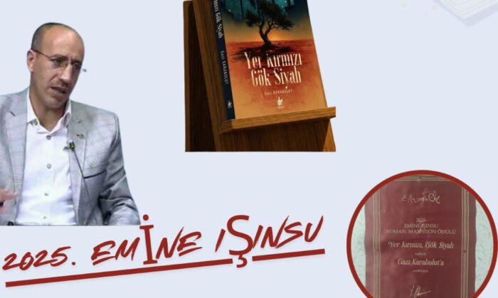 BU BİR DOĞU TÜRKİSTAN ROMANIDIR