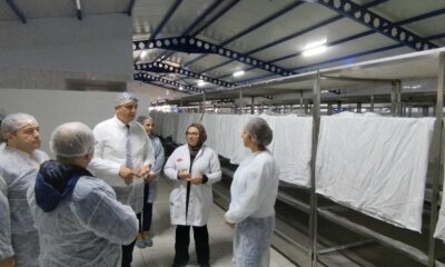 İL MÜDÜRÜ METE SİRKE YATIRIMINI YERİNDE İNCELEDİ