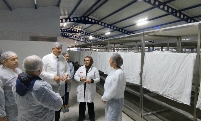 İL MÜDÜRÜ METE SİRKE YATIRIMINI YERİNDE İNCELEDİ