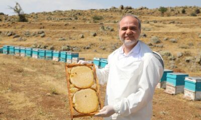 ÜNİVERSİTE ÜRETMEYİ SEVİYOR