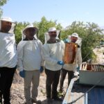 NÖHÜ’DE ÜRETİMİN BEREKETİ: 3 TONA YAKIN BAL HASADI