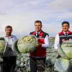 VALİ AKMEŞE KAYNARCA’DA ÜRETİCİLERLE HASADA KATILDI