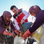 VALİ AKMEŞE KONAKLI’DA PATATES HASADINA KATILDI