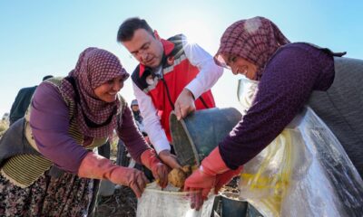 VALİ AKMEŞE KONAKLI’DA PATATES HASADINA KATILDI